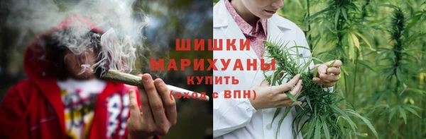 молекула духа Майский