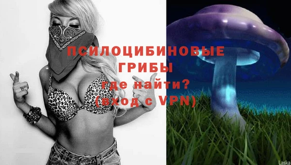 молекула духа Майский