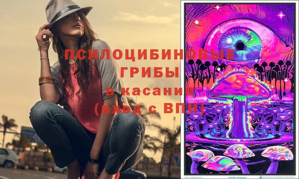 ПСИЛОЦИБИНОВЫЕ ГРИБЫ Абинск
